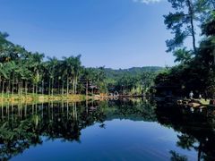 -北海金海湾红树林生态旅游区