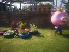 -田园东方蜜桃村的田野营地