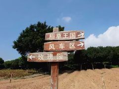 -松山湖梦幻百花洲