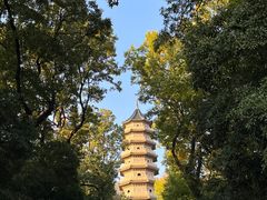 -灵谷景区
