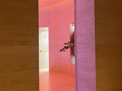 -舒小悦·舒养SPA·古法推拿(光环中心店)