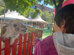 -萌宠亲子动物乐园(槐房万达店)