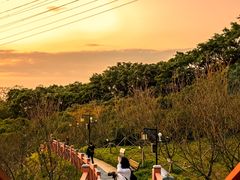 -小南山公园