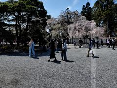-醍醐寺