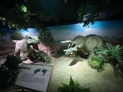 -国家自然博物馆