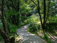 -光雾山旅游景区