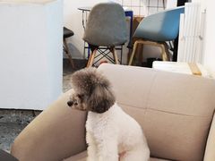 -MIMO CAFE(沙头角店)