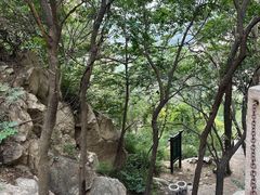 -北京凤凰岭
