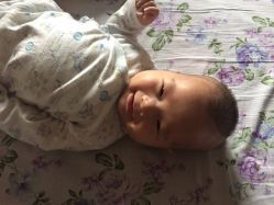 -上海小小宝婴儿理胎发胎毛笔