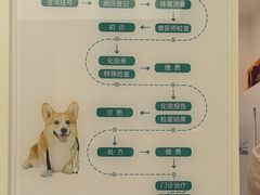 -瑞派康怡24h宠物医院·犬猫医疗中心·微创绝育(瑞景分院)