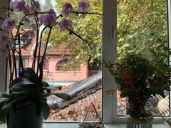 -蝶舍·MAISON PAPILLON