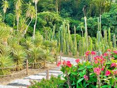 -深圳仙湖植物园