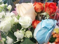 -循礼门鲜花花市(武汉循礼门店)