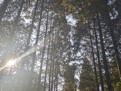 -昆山城市生态森林公园