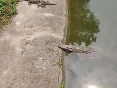-广州长隆飞鸟乐园
