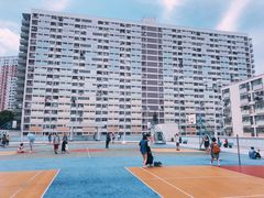 -彩虹村