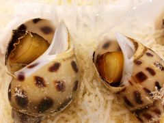 -欢乐海岸美食联盟