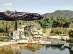 -雅安楠水阁温泉酒店