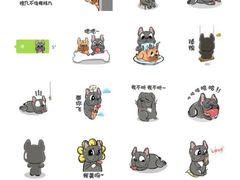 -翊宠yipet猫狗购宠庄园犬舍•猫舍