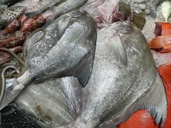 -抱德·潮汕味(敦和店原惠城鱼仔)