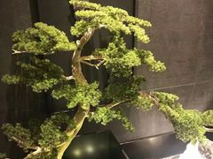 -百富源·海鲜辽菜(浑河堡店)