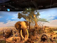 -陕西自然博物馆