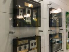 -上海昆虫博物馆