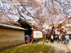 -醍醐寺