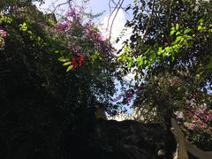 -疯狂屋