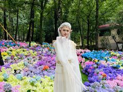 -洛阳白云山景区