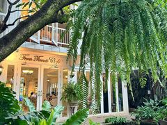 -Fern Forest Cafe