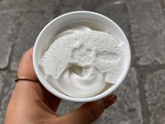 -洪馨椰子