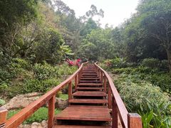 -石排湾郊野公园