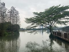 -海珠湖公园