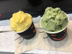 -野人先生现做冰淇淋(西安赛格店)