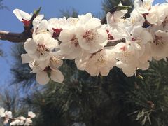 -金太太速食(北下关店)