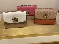 -COACH蔻驰(SKP男士店)