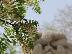 -北京石刻艺术博物馆(五塔寺)