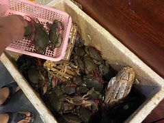 -瑞丽活螃蟹(芒市店)