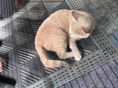 -成都皈徕栖精品酒店(四川大学九眼桥店)