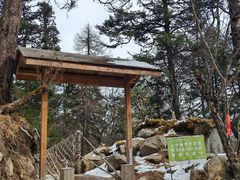 山水秘境入口-毕棚沟景区