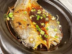 砂锅豉油黄鱼-西苑饭店·蓬莱春餐厅