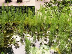 -箱美术馆私房菜(水晶郦城店)