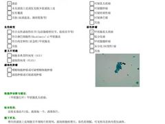 -韶州人民医院