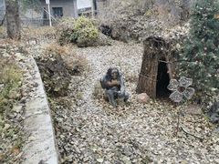 -沕沕水生态风景区