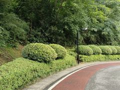 -桃花岭景区
