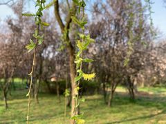 -蜀冈西峰生态公园