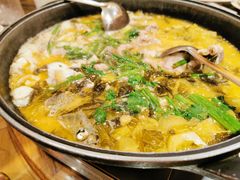 肥牛酸菜鱼-梧桐庄园