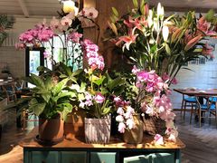 -春暖花开(西溪店)