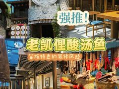 -老凯俚酸汤鱼(多彩城店)